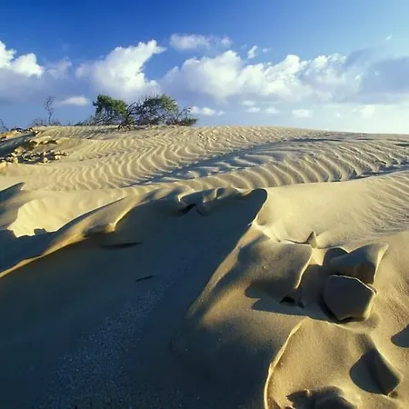 Vakantievilla Het Dunehuys Villa De Panne