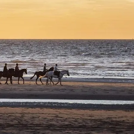 Vakantievilla Het Dunehuys *
